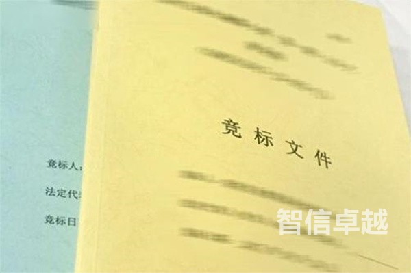 英文標書翻譯（英譯漢標書翻譯）