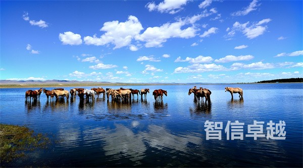 化工翻譯-法語翻譯中文翻譯