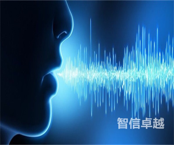 北京專業(yè)的護(hù)照翻譯-專業(yè)的英語留學(xué)護(hù)照翻譯
